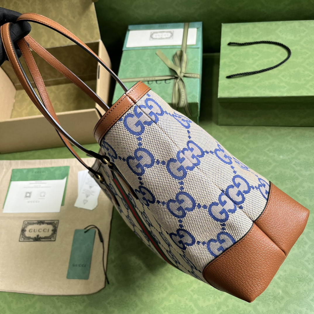 Gucci Ophidia Bag