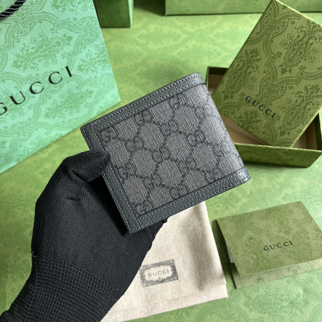 Gucci Ophidia Bag