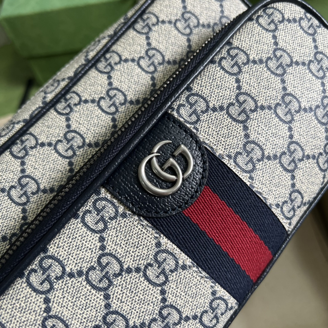 Gucci Ophidia Bag