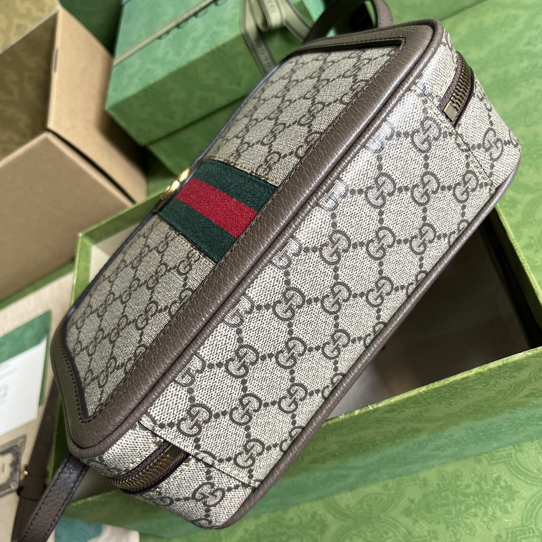 Gucci Ophidia Bag