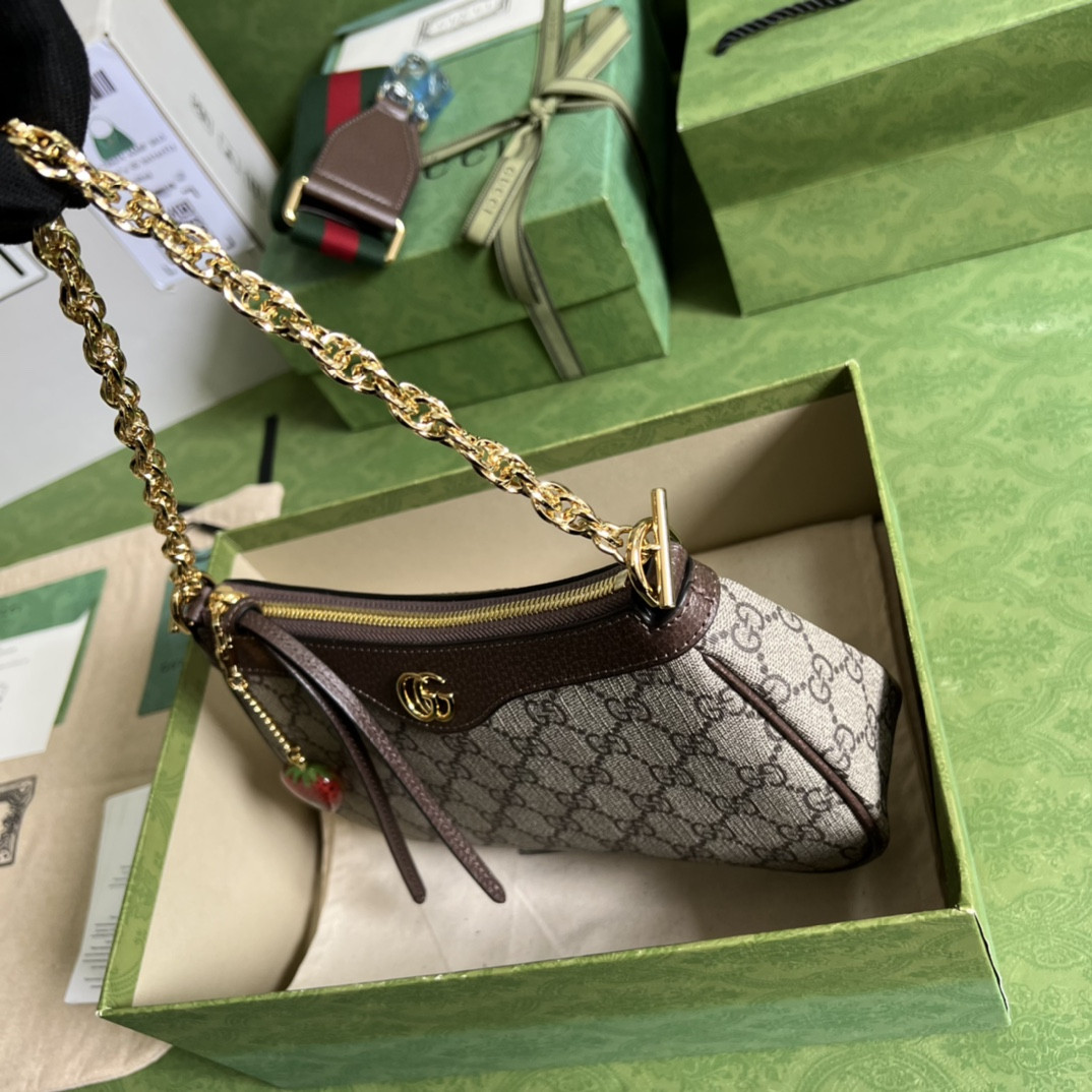 Gucci Ophidia Bag