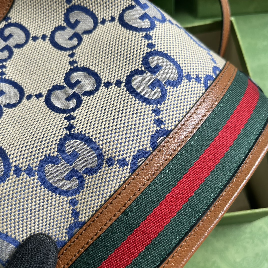 Gucci Ophidia Bag
