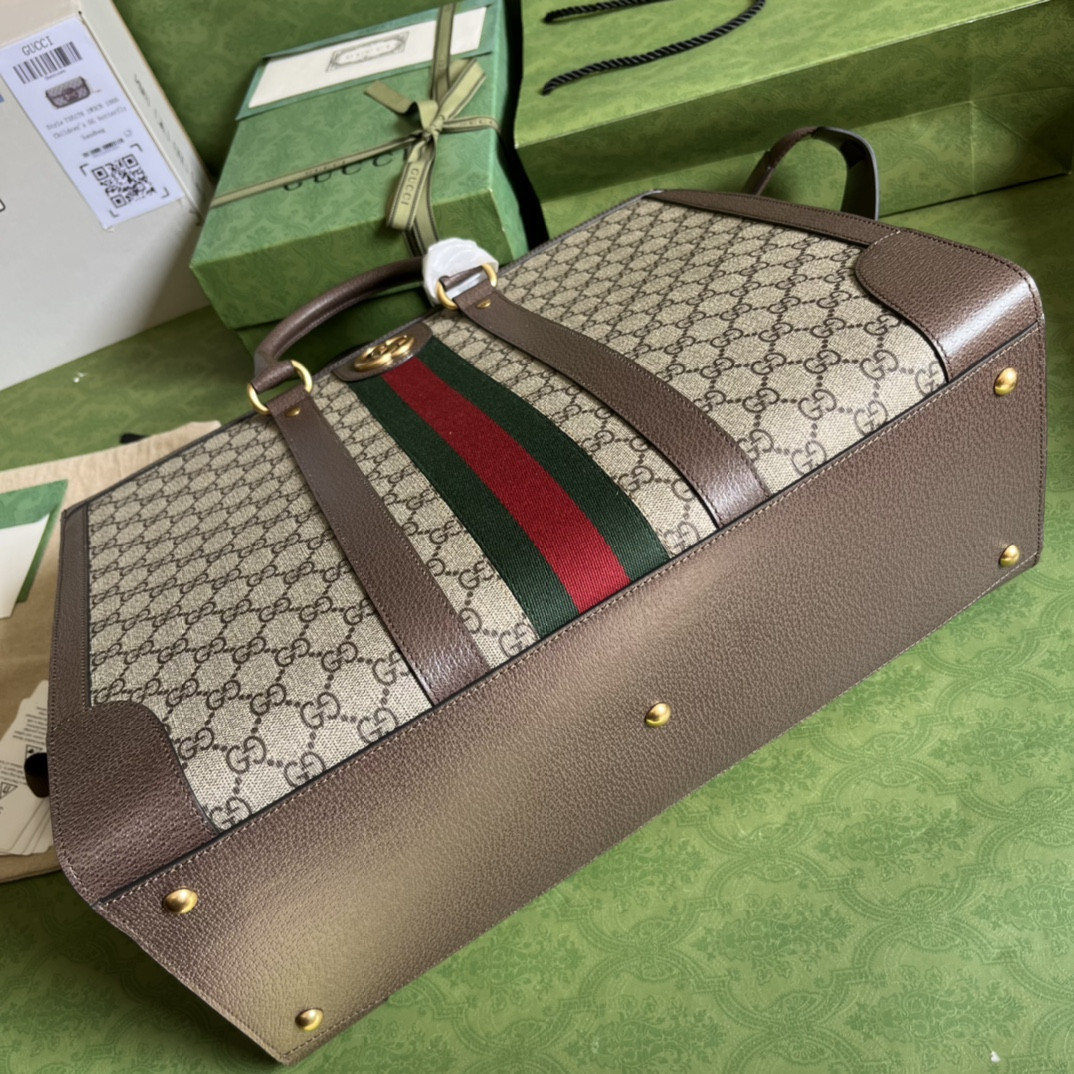 Gucci Ophidia Bag