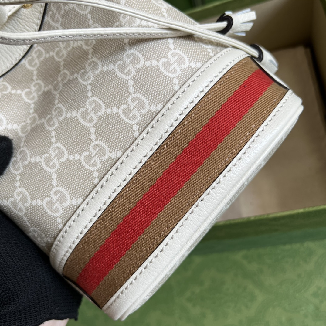 Gucci Ophidia Bag