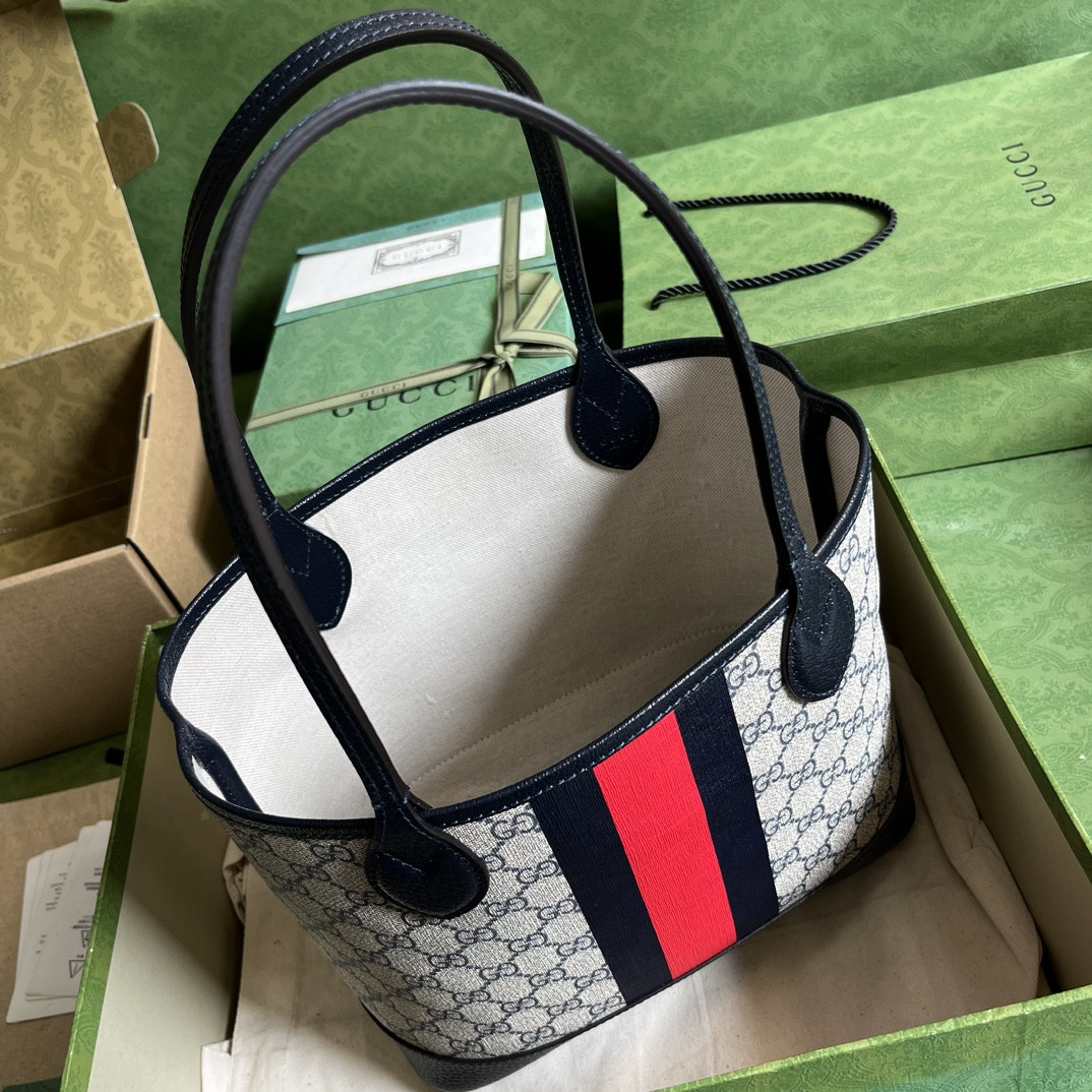 Gucci Ophidia Bag