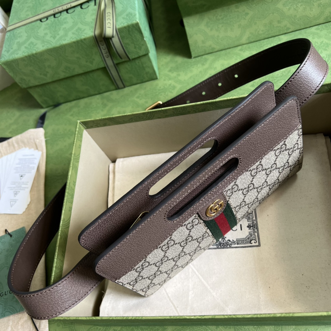 Gucci Ophidia Bag