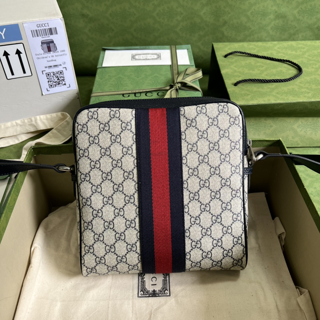 Gucci Ophidia Bag