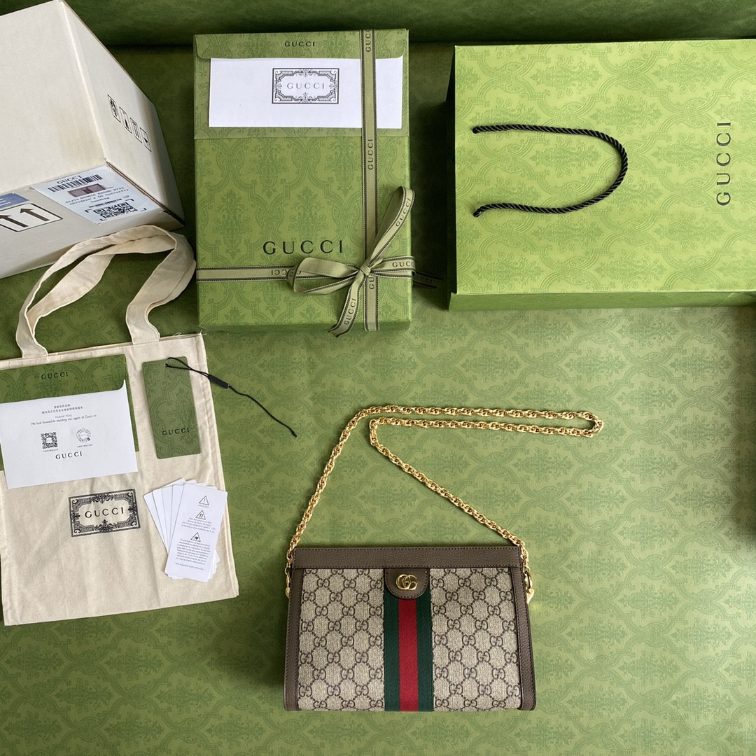 Gucci Ophidia Bag