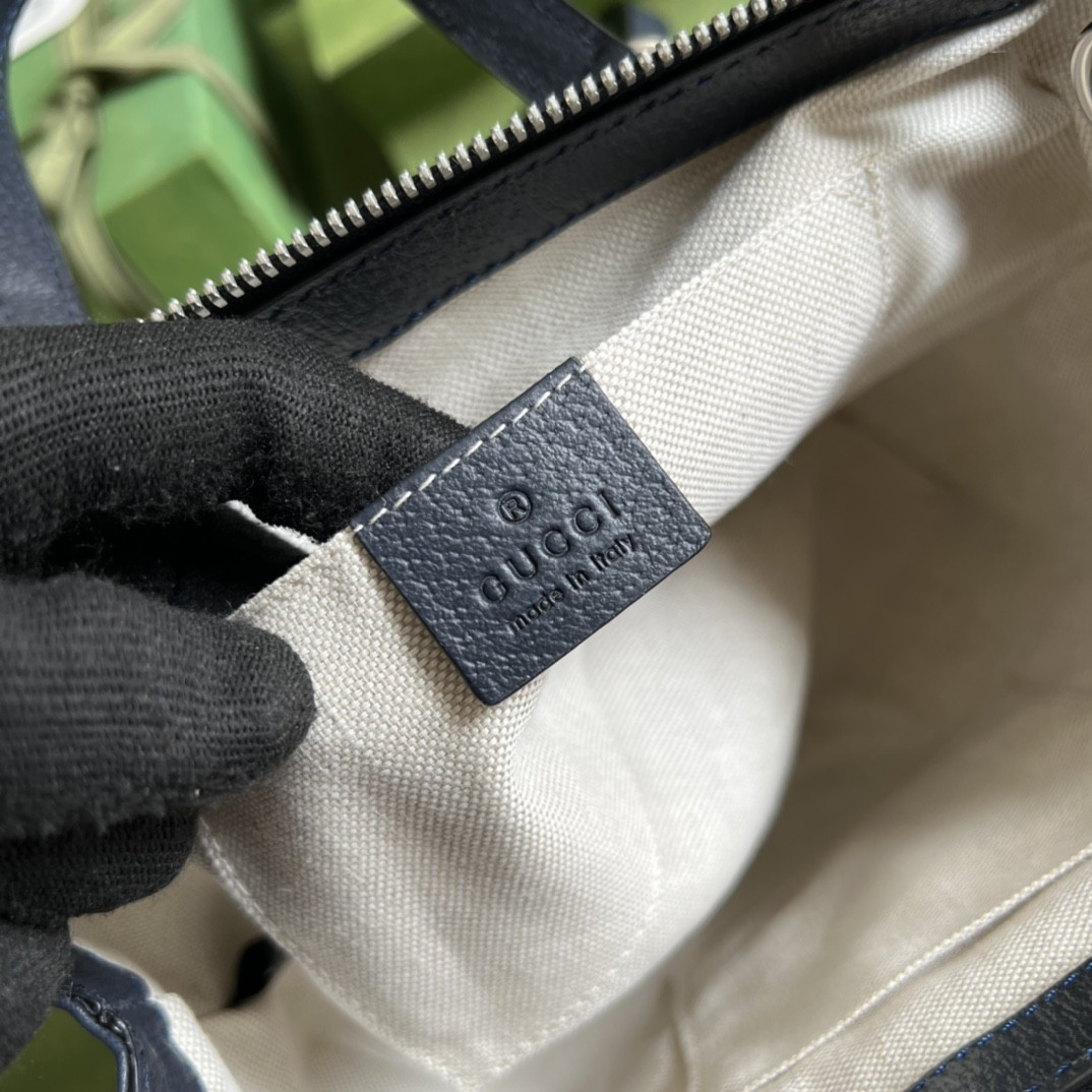 Gucci Ophidia Bag