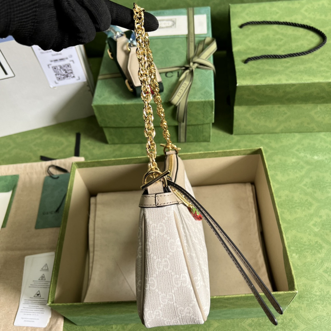 Gucci Ophidia Bag