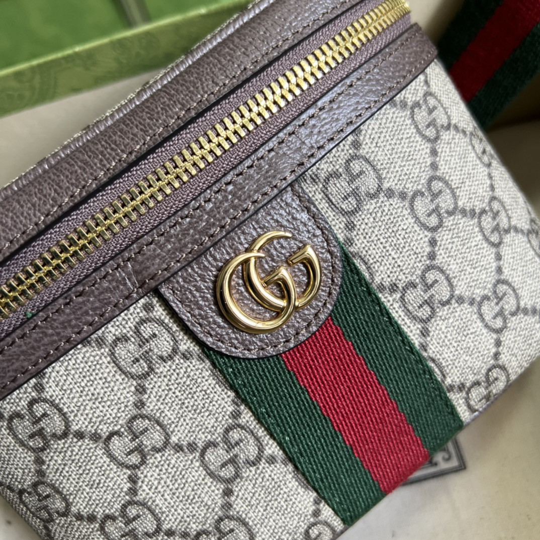 Gucci Ophidia Bag
