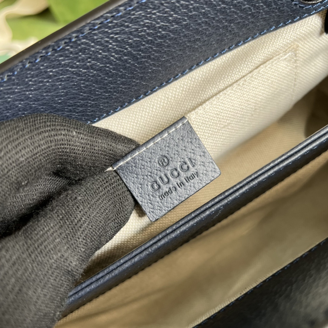 Gucci Ophidia Bag