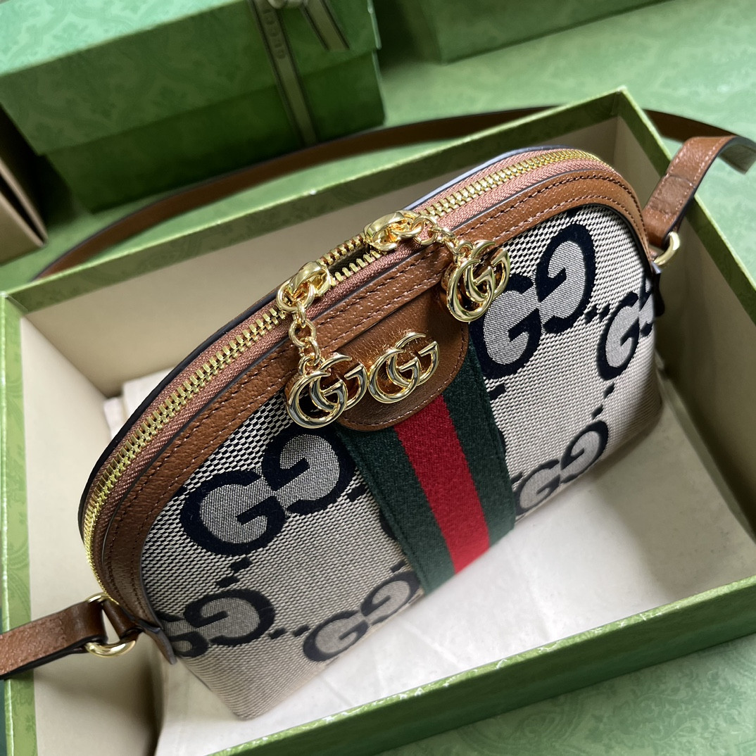 Gucci Ophidia Bag