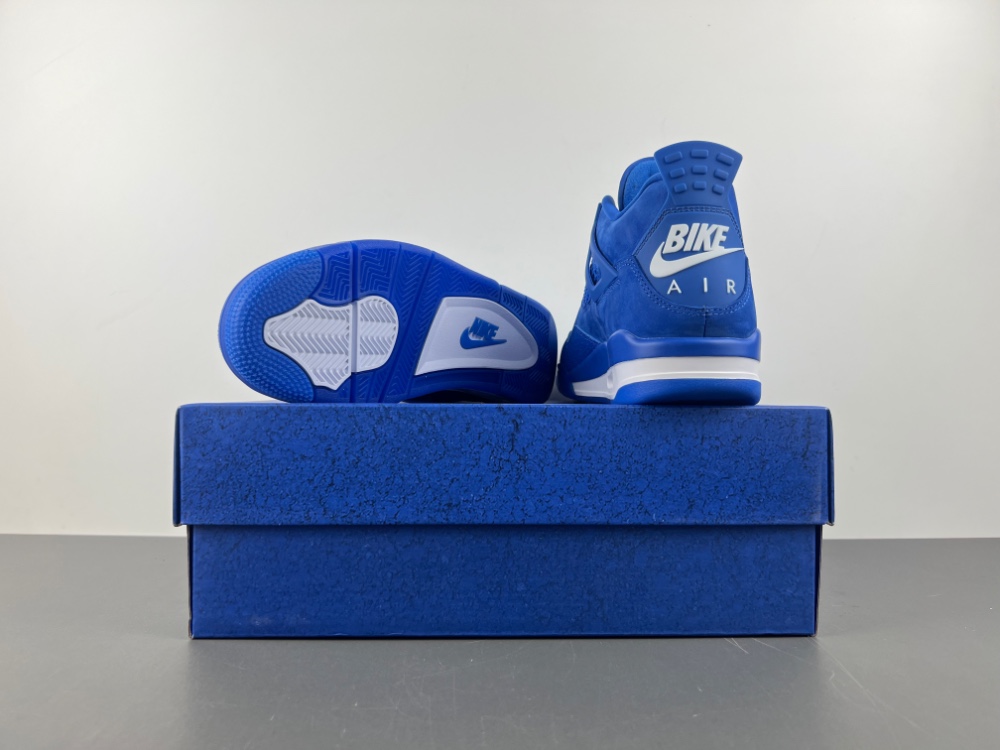 Air Jordan 4 x Nigel Sylvester HF4340-400